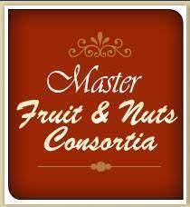Master Dry Fruit