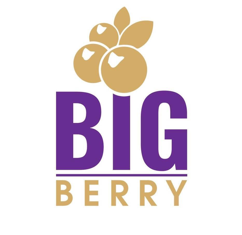 Big Berry Cosmetics