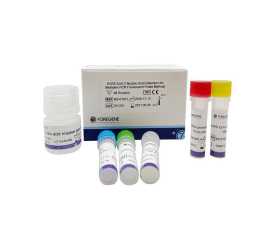 SARS - Cov-2 Nucleic Acid Detection Kit (Multiplex PCR Fluorescent Probe Method) - 1 KIT = 96 SAMPLES - FOREGENE Co, Ltd.