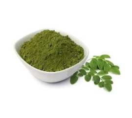 Moringa Pakistan: Moringa Oleifera Powder Pure 500g