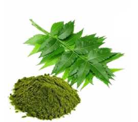 Neem Leaf Powder 100 Gram Neem Powder Premium Quality Fine Powder