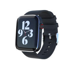 LT-W25 Smart Watch