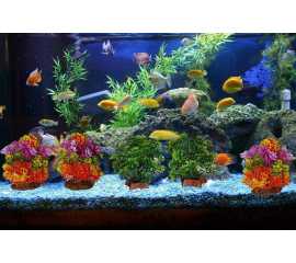 Pack Of 5 Pieces Artificial Underwater Plant Grass With Stone For Aquarium Fish Tank