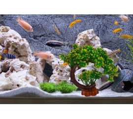 Artificial Green Underwater Plant Grass with Stone Aquarium Fish Tank Landscape Décor