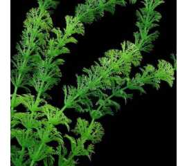 Artificial Green Underwater Plant Long Grass With Stone Aquarium Fish Tank