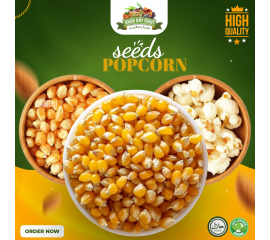 Popcorn seeds  1KG Pack