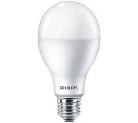 Philips LED Light Bulb 24W E27 6500K 230V
