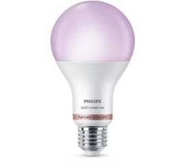 Philips LED Light Bulb PHI WFB 100W A67 E27 RGB