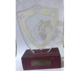 Best Player Football Trophy - 1 Piece