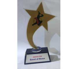 Award For Guest of Honor - 1 Piece