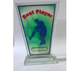 Award For Best Cricket Player - 1 Piece
