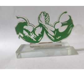 Arm Wrestling Wining Trophy Award - 1 Piece