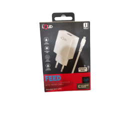 WC690 Vintage Fast Wall Mobile Charger - White