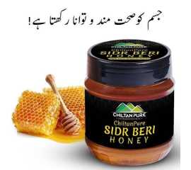 Chiltan Pure Beri Honey - Good for Immune System