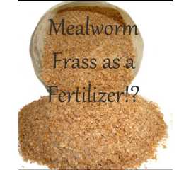 Mealworm Frass Fertilizer (0.5 Kg)