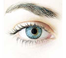 Color Lens Eye Contact Lenses With Container + Free Water Kit