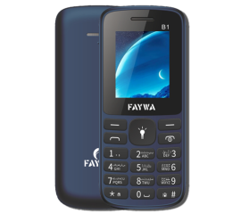 Faywa B1 Mini Feature Phone
