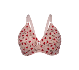 Pack of 2 Women's Heart Print Net Bra