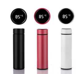 Digital Temperature Display Water Bottle - 500ml Storage CapacityDigital Temperature Display Water Bottle - 500ml Storage Capacity