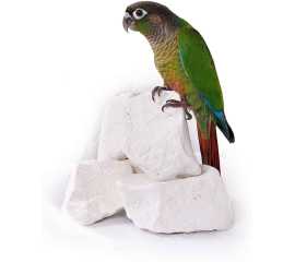 Bird Gold Fast Breading Formula Classic Chalk - 8 Piece