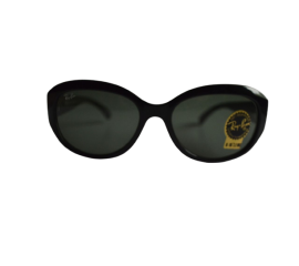 RayBen Plastic Fram Cat Eye Shape Sunglasses
