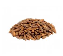 Fresh Black Roasted Pine Nuts (with shell) -  1Kg
