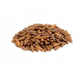Fresh Black Roasted Pine Nuts (with shell) -  500Gm