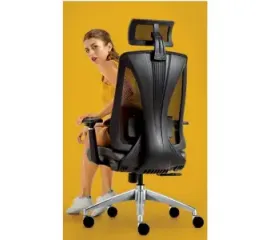 Executive Chair With Adjustable Lumbar Support
