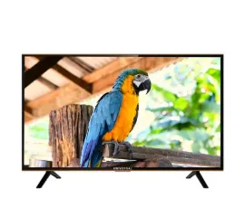 Universal Parrot U24 Inch - HD LED TV - Black