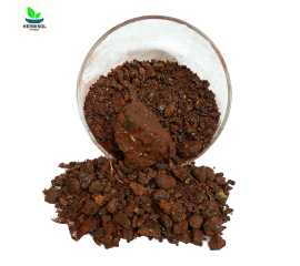 Dammul Akhwain 100gm