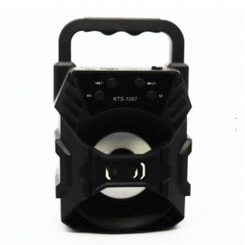 Wireless Speaker KTS-1057 Blue Birds New Collection Portable Ultra loud 6 W Bluetooth Speaker -  1 Piece