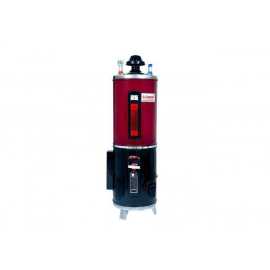 Izone Geyser Twin (Elec & Gas) Fsr 25 Supreme Twin