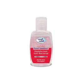 Disinfectant Hand Sanitizer 60ml