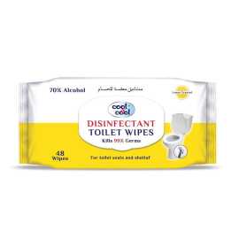 Disinfectant Toilet Wipes 48's