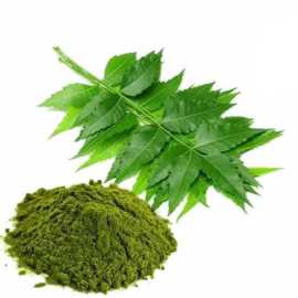 Neem Leaf Powder 100 Gram Neem Powder Premium Quality Fine Powder