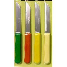 Fixwell Multicolor Stainless Steel Knives - 1 Piece