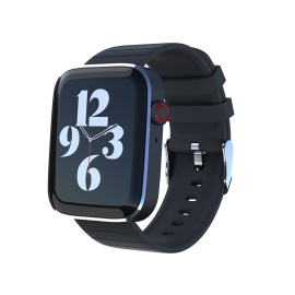 LT-W25 Smart Watch
