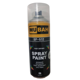 Shiny Cleer Lacquer Paint Spray