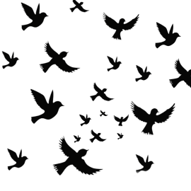 Different Sizes 3D Flying Black Wooden Sparrow For Wall Decor - Pack Of 24 PCS