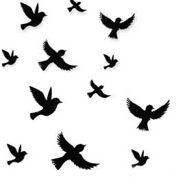 Different Sizes 3D Flying Black Wooden Sparrow For Wall Decor - Pack Of 12 PCS