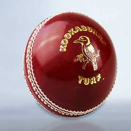 International Cricket Hard Ball 50 Overs - 1 Piece