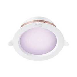 Philips LED Lights PHI WFB RGB/10W RD5"