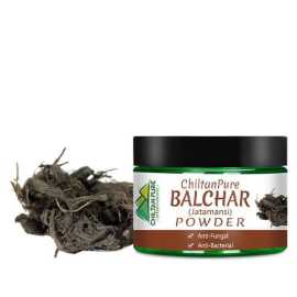 Chiltan Pure Balchar (Jatamansi) Hair Powder - 50G