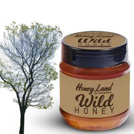 Chiltan Pure Wild Mountainous Honey