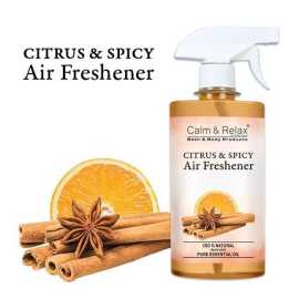 Citrus & Spicy Air Freshener - Eliminate Unpleasant Odours