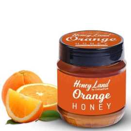 Orange Honey - 450 Gram