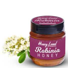 Robinia Honey - 450 Gram