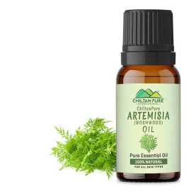 Artemisia Wormwood Essential Oil - Relieves Nervous Afflictions - 20M