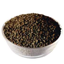 Babchi Fresh Bakuchi Seeds Corylifolia by Sabir Sons