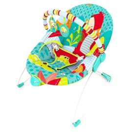 Mastela Soothing Vibrations Bouncer 6750